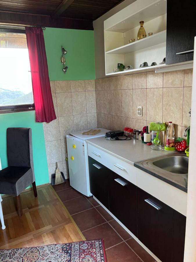 Apartman Jezero Vrutci Užice エクステリア 写真